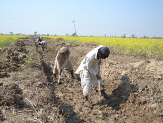 ER-DFID Project Jaffarabad